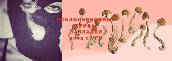 mdpv Елабуга