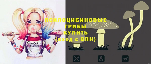 метамфетамин Ельня