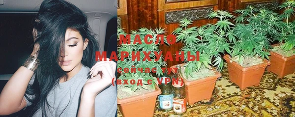 метамфетамин Ельня