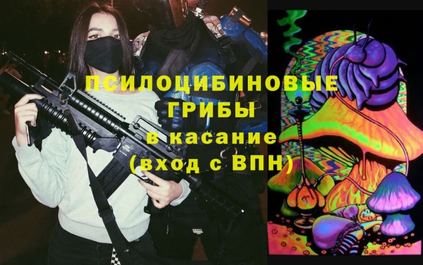 mdpv Елабуга
