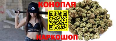 прущие грибы Обнинск