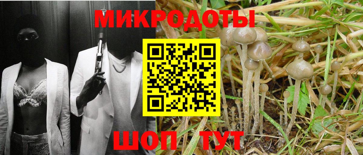Псилоцибиновые грибы ЛСД Мончегорск