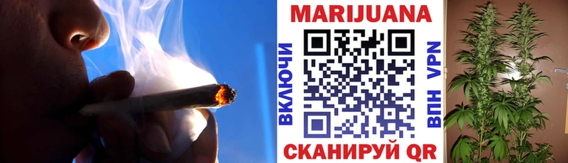 Конопля гибрид  Мончегорск 